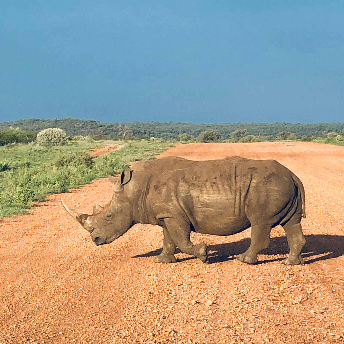 Affiner ses perceptions.